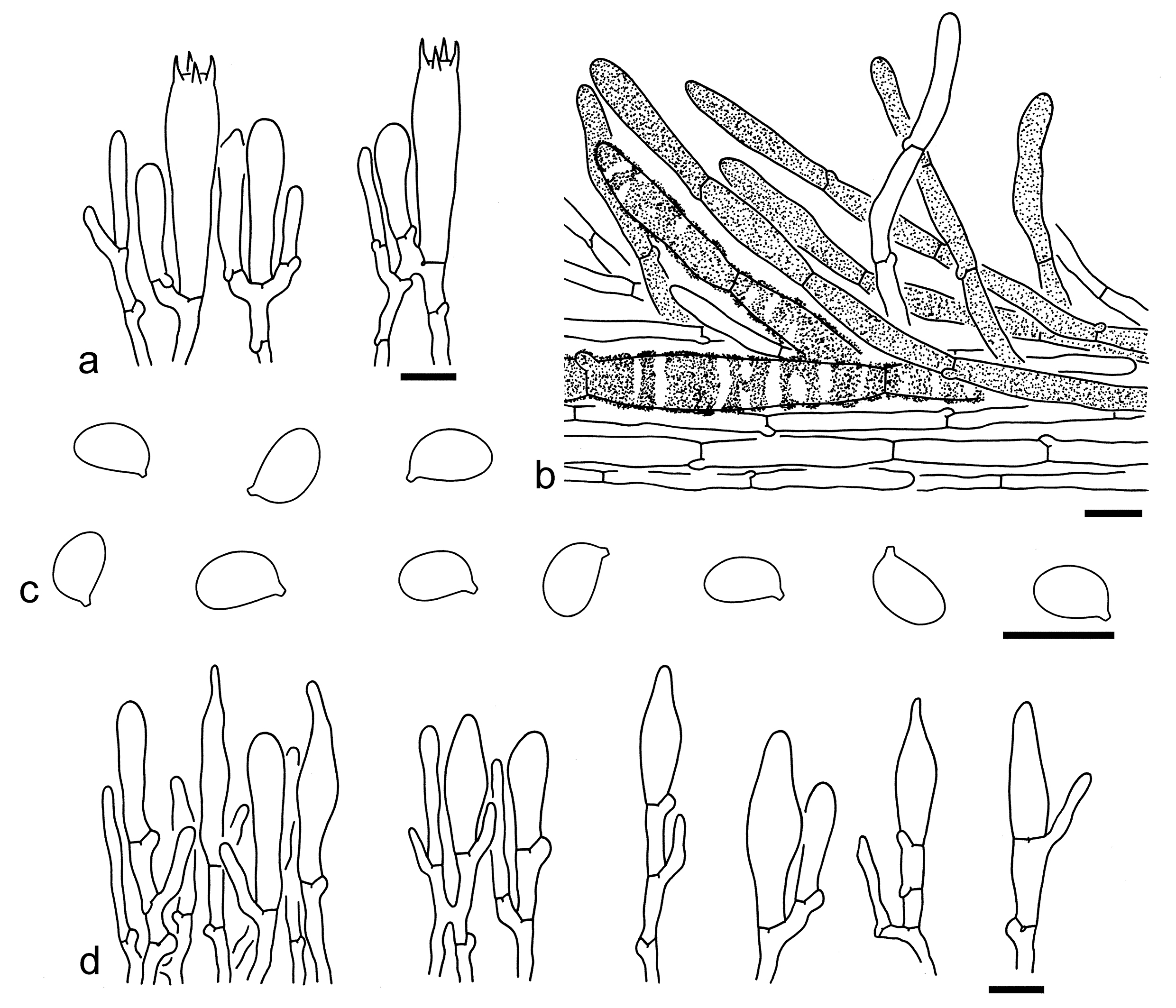 Figure 25